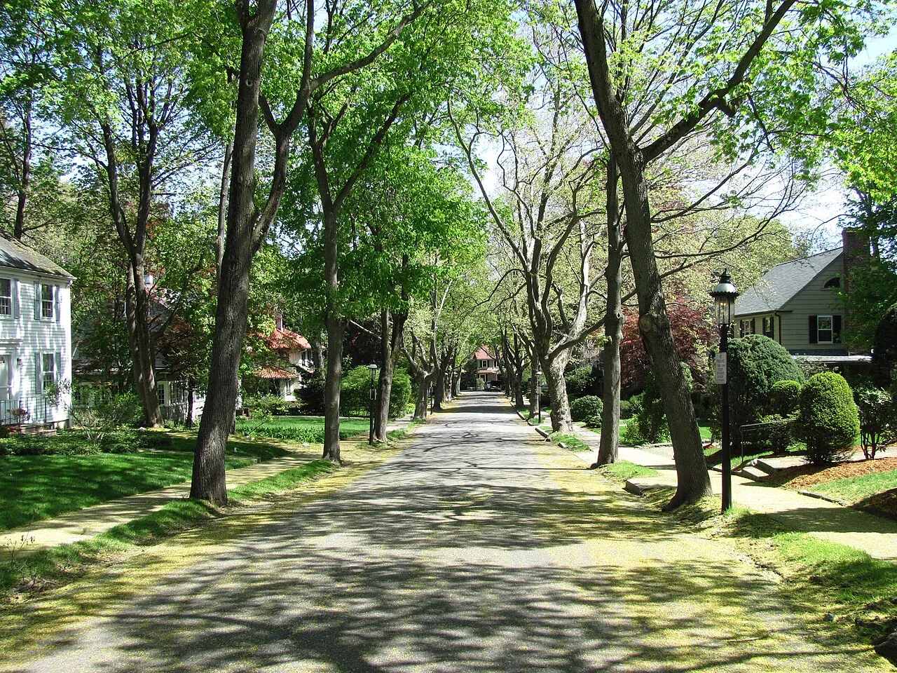 Canton